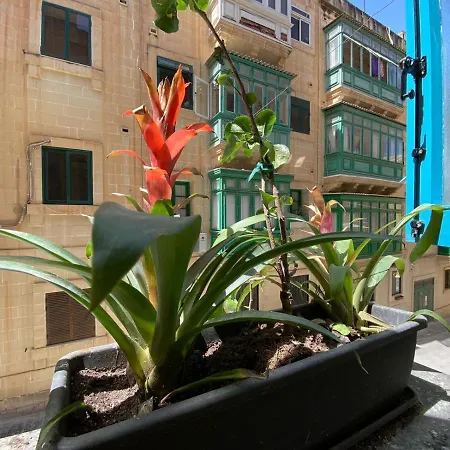 Maltese Town House *