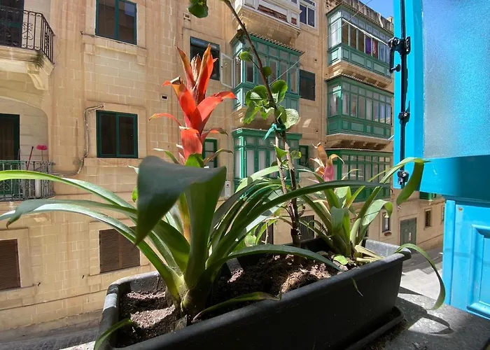 Maltese Town House *