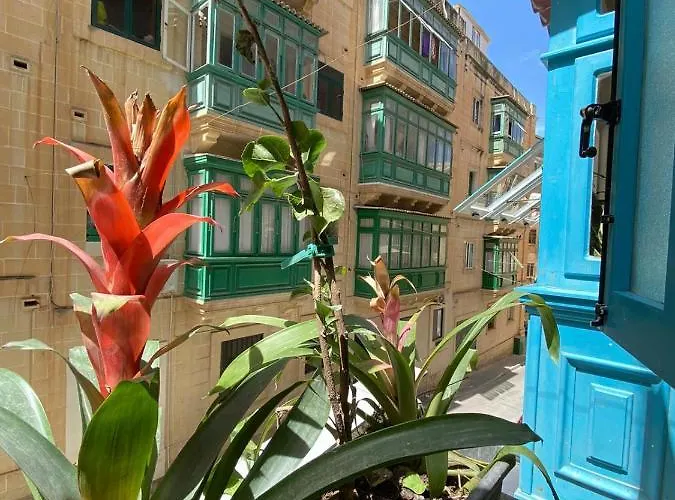 아파트 Maltese Town House *